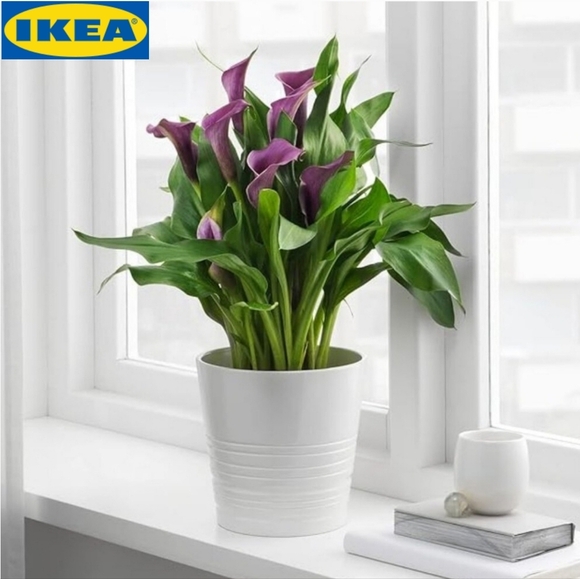 IKEA MUSKOT Plant Pot 17cm - Picture 1 of 12